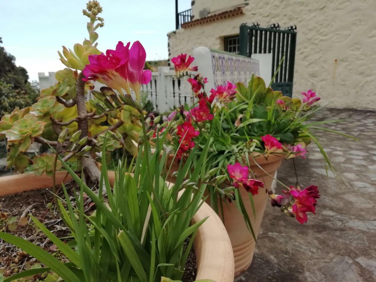 Grosse Finca 19Jh, Pool, Terrasse, Nahe Santa Cruz 圣克鲁斯-德拉帕尔马 外观 照片
