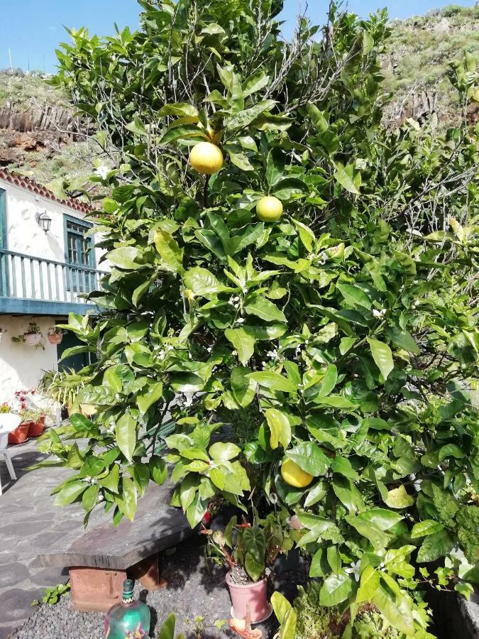 Grosse Finca 19Jh, Pool, Terrasse, Nahe Santa Cruz 圣克鲁斯-德拉帕尔马 外观 照片