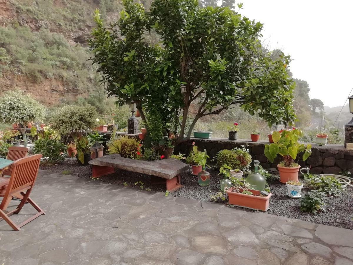 Grosse Finca 19Jh, Pool, Terrasse, Nahe Santa Cruz 圣克鲁斯-德拉帕尔马 外观 照片