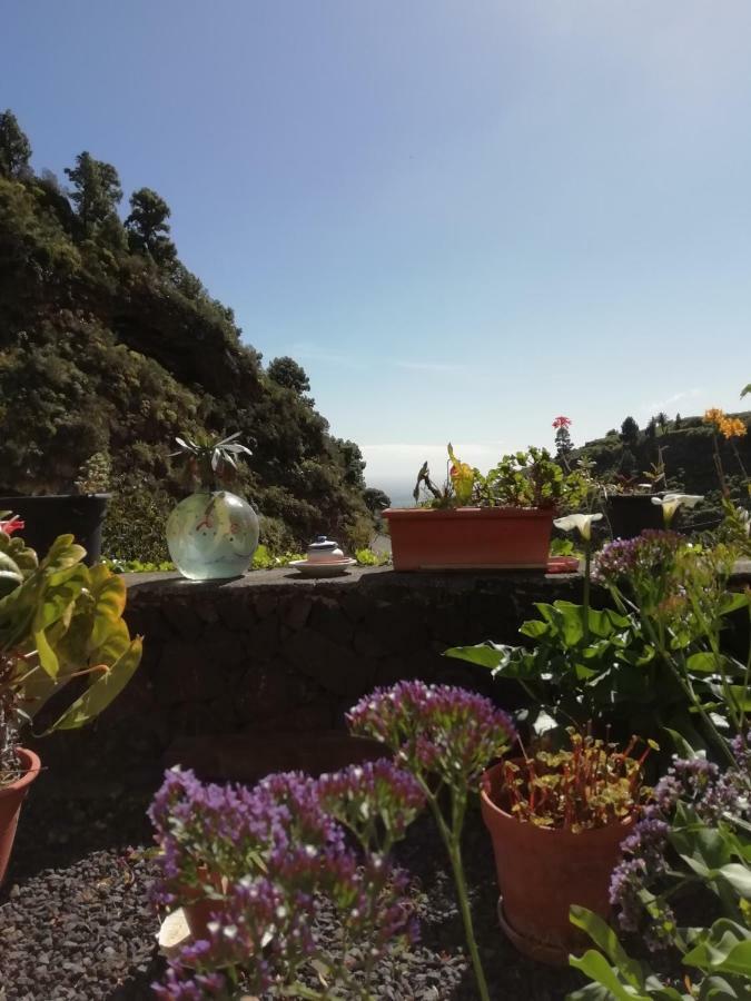 Grosse Finca 19Jh, Pool, Terrasse, Nahe Santa Cruz 圣克鲁斯-德拉帕尔马 外观 照片